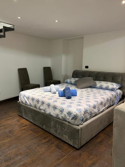 la rosa di roma colosseo Apartment in Rome