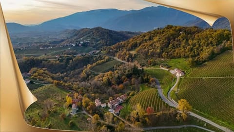 Bird's eye view, View (from property/room)