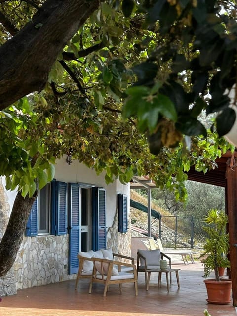 Property building, Bird's eye view, View (from property/room)