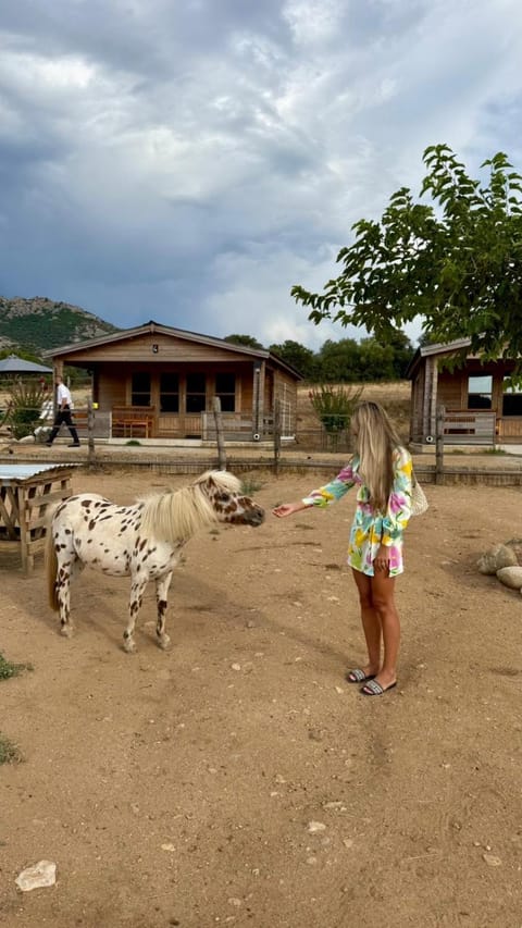 Les Chalets de Tesa Farm Stay in Corsica