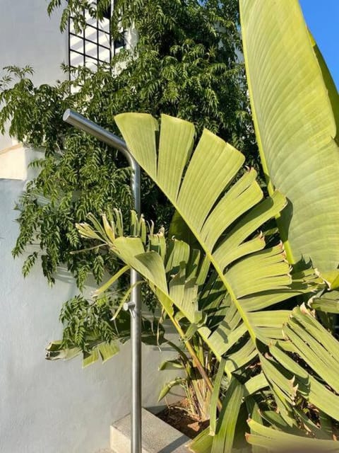 Naousa Villa with pool, garden and view Villa in Naousa