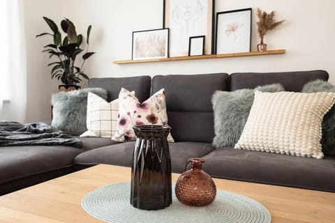 Luxury Apartment on the Rhein Apartment in Schaffhausen