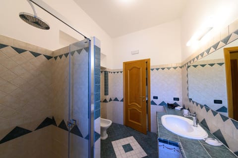 Shower, Toilet, Bathroom, bidet