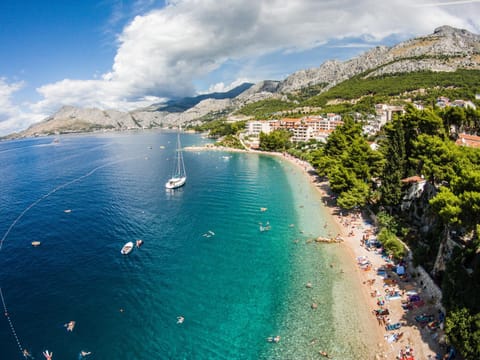 Natural landscape, Beach, Location