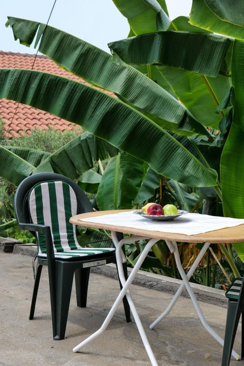 Day, Garden, Dining area, Garden view