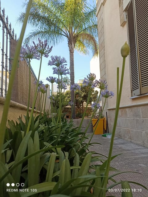 Garden, Garden view