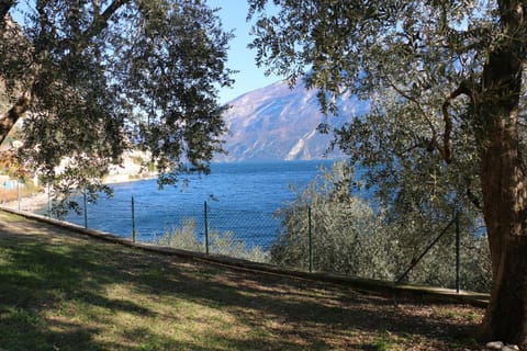 Natural landscape, Lake view