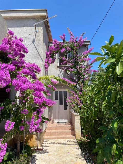 Spring, Day, Garden, Garden view