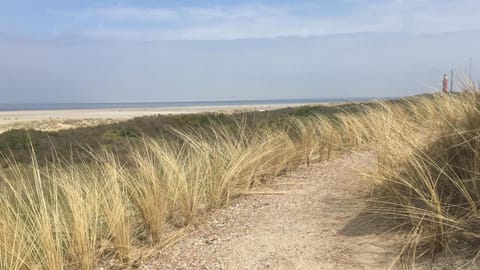 Silver Lotus 1 Apartment in Bredene