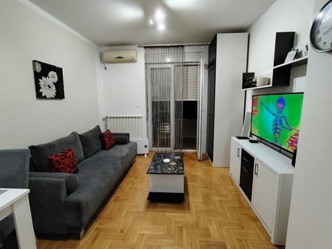 Apartman Breza 3 Apartment in Serbia