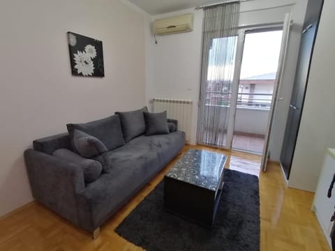 Apartman Breza 3 Apartment in Serbia