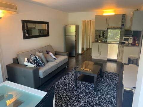 magnifique studio à 2 mn de la mer Apartment in Antibes