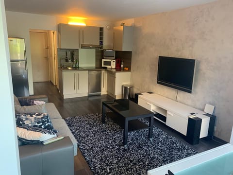 magnifique studio à 2 mn de la mer Apartment in Antibes