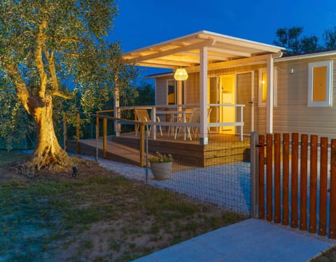 Property building, Night, Garden