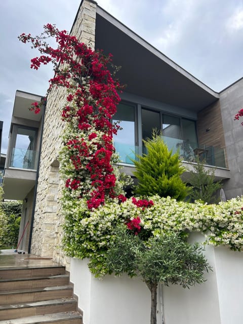 Property building, Garden, View (from property/room), Garden view