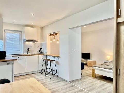 Kitchen or kitchenette, hair dresser, minibar, stove