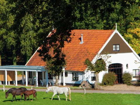 Property building, Lobby or reception