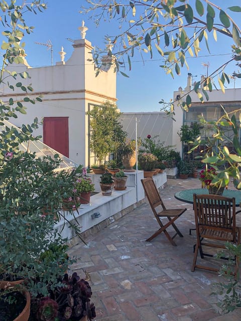 Day, Garden, Garden view, sunbed