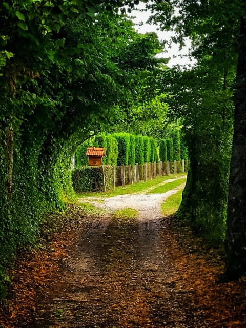 Neighbourhood