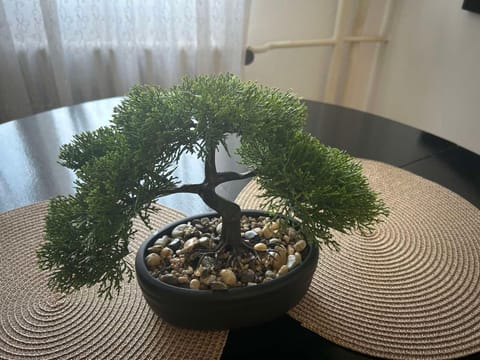 Cozy apartment in city center Most Apartment in Serbia