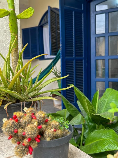 Casa Surya Paraty Nature lodge in Paraty