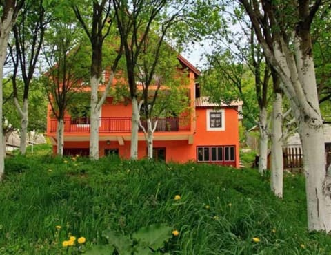 Property building, Day, Summer
