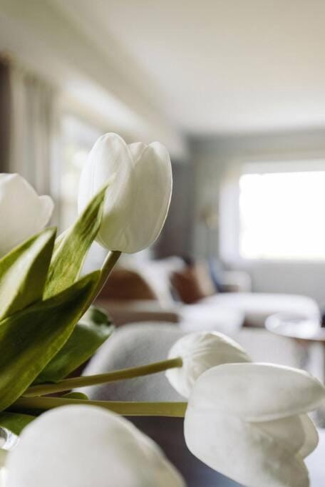 Westlake Harmony Apartment in Westlake