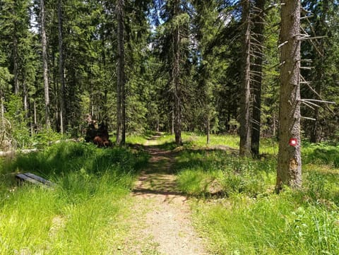 Spring, Natural landscape, Summer, Autumn