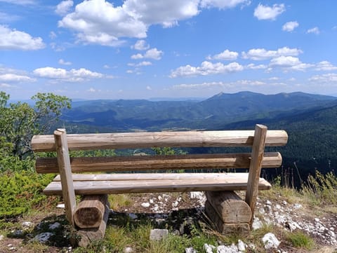 Spring, Natural landscape, Summer, Autumn