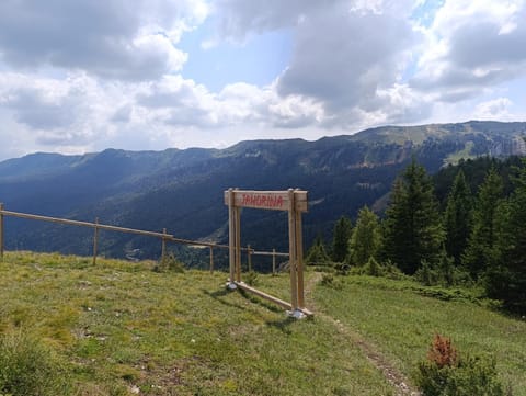 Natural landscape, Summer