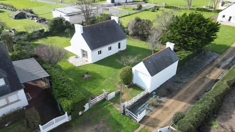 Natural landscape, Bird's eye view, Garden