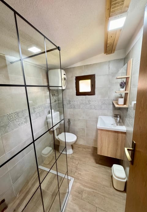 Shower, Toilet, bidet