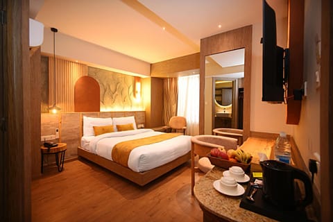 Toilet, TV and multimedia, Coffee/tea facilities, Photo of the whole room, locker, oven, air conditioner