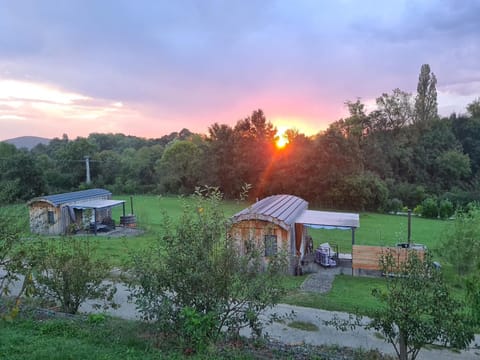 Natural landscape, Garden view, Sunrise