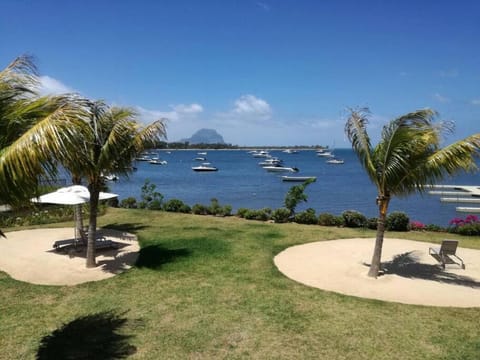 Day, Natural landscape, Garden, Garden view, Sea view
