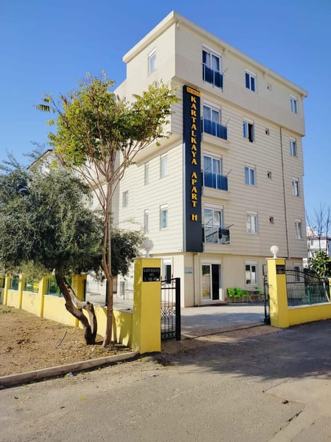 Property building, Day
