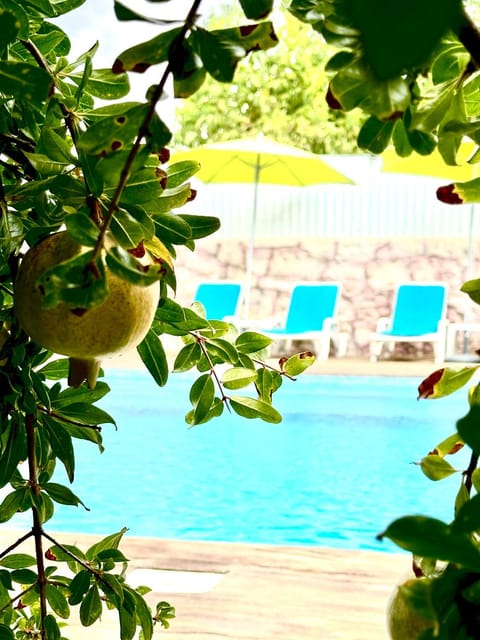 Garden, Swimming pool