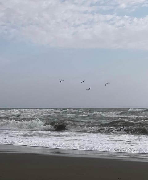 White Villa Villa in Montenegro