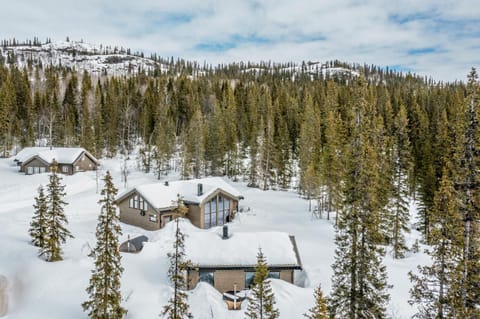 Property building, Natural landscape, Winter