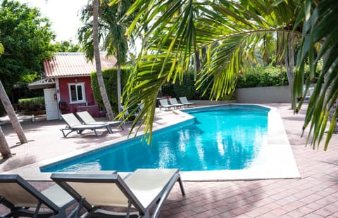 Garden, Swimming pool, Swimming pool, sunbed