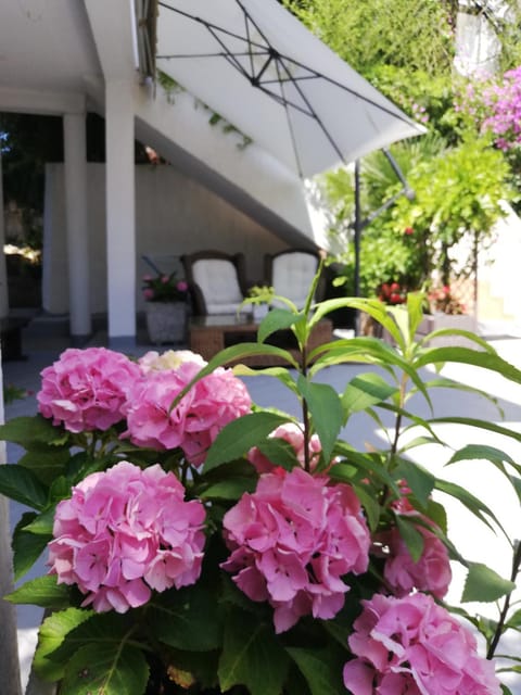 Day, Garden, Garden view