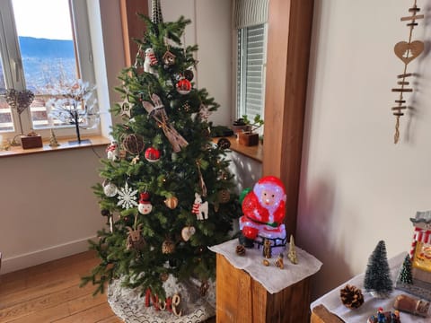 La Chaume des Xettes / 10-14 pers SPA - Vue Lac House in Gérardmer