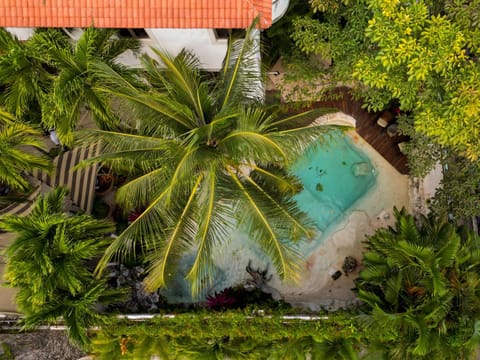 Day, Natural landscape, Pool view, Swimming pool