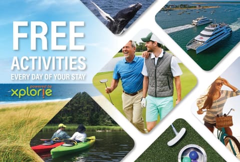 79 West Road Orleans Cape Cod - Bed Splash & Beyond House in Orleans