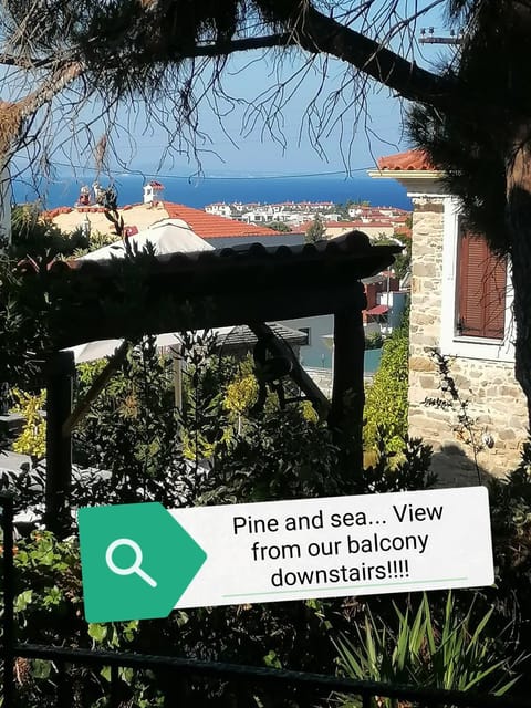 Pine & sea house House in Nikiti