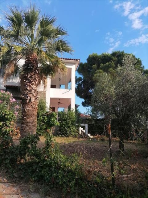 Pine & sea house House in Nikiti