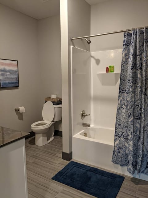 520 Neil Heart of Downtown Champaign Apartment in Champaign