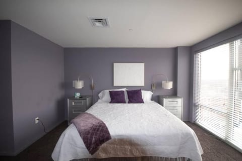 Luxury Condo in Downtown Champaign Apartment in Champaign