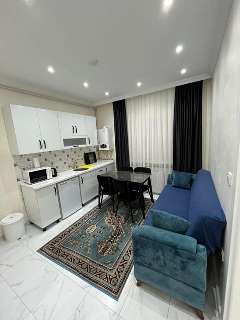 Kitchen or kitchenette, Living room, Seating area, Dining area
