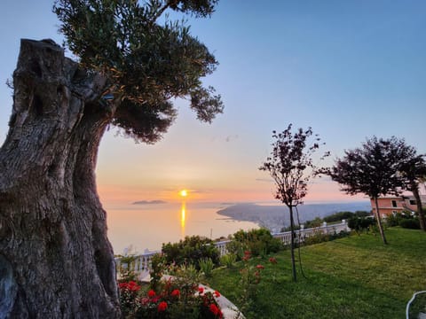 Day, Natural landscape, Garden, Garden view, Sea view, Sunset